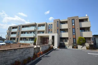 シャルマンの画像