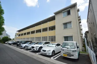 ロイヤルローズの画像