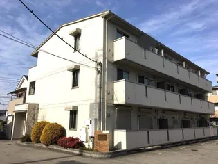 ラエティティアの画像