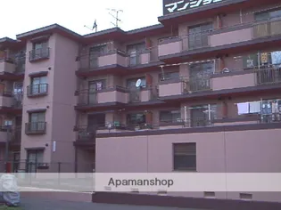 埼玉県春日部市備後東7丁目【マンション】の外観