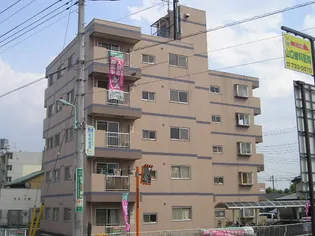 うぇるの画像