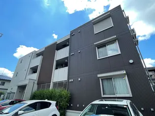 ラウレアの画像