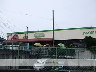 エルベマノワール【2階】の周辺