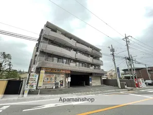 エクセルなみきの画像