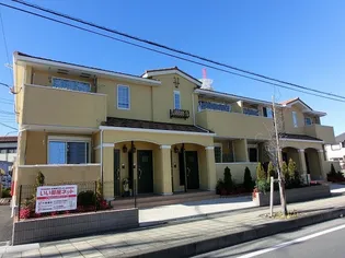 サニーセトナの画像