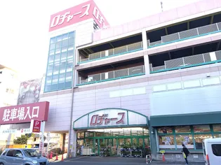 レオパレステルセイラ【2階】の周辺