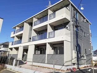 サニー ブライト 上木崎の画像