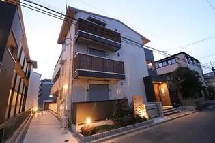 シダーカーサの画像