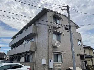 グレイスの画像