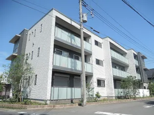 ラディーチェCの画像