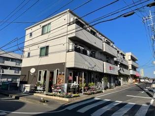 ベルカーサの画像