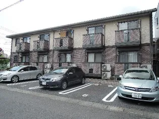 シャインローズの画像