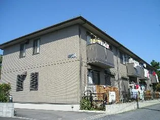 カーサ コモドの画像