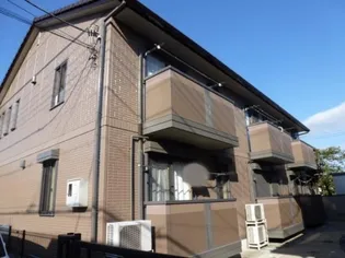 ベラ フォンスの画像