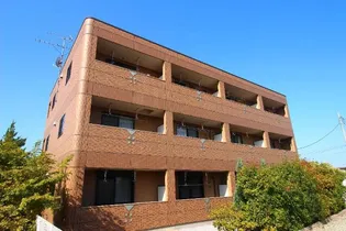 SPRING HILLの画像