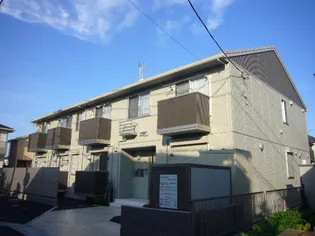 プルメリアの画像