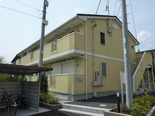 プラシード カーサの画像