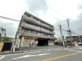 エクセルなみきの画像