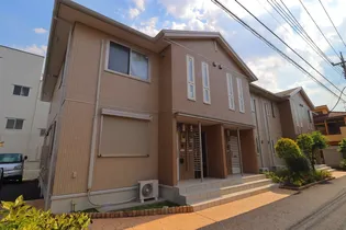 ステラポラーレの画像