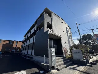 コリーヌヴェール盆栽の画像