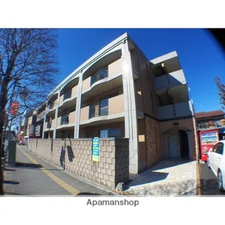 ヒラソールの画像