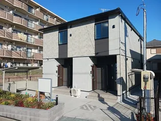 ヴェルデの画像