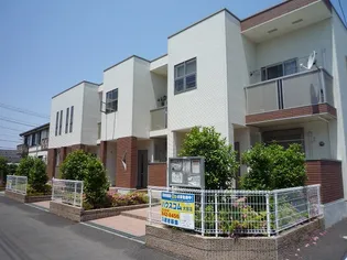 フェアリー アイリスの画像