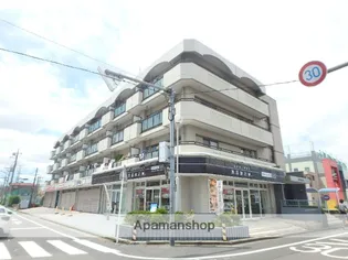 埼玉県さいたま市南区文蔵1丁目【マンション】の外観