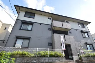 ハイカムール駒形の画像