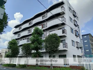 パレマロンの画像