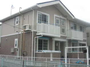 プリムローズの画像