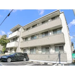 エバーグリーンの画像