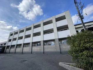 マイト カジヤの画像