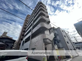 ソレイユタカトーの画像