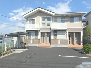 プリムローズの画像