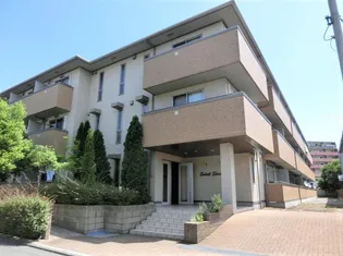 ソレイユ シャルマンの画像