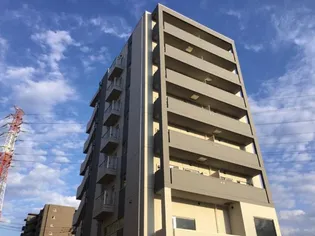 ステーラ ボヌールの画像