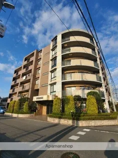 ピカソ45の画像