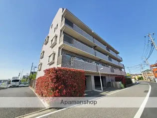 STELLAの画像