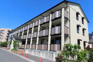 ロイヤルハーモニーの画像