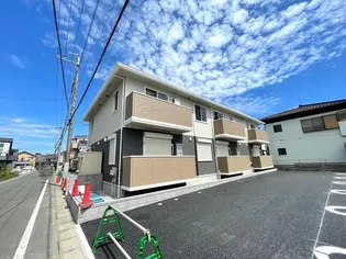 ゼルコバ IIの画像