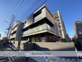 プロシオンの画像