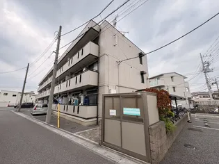ゴールドパストラルの画像