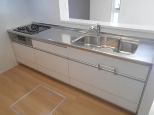 ロイジェントパークス レイクタウン II C【1階】のキッチン