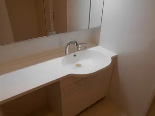 ロイジェントパークス レイクタウン II C【1階】のその他画像