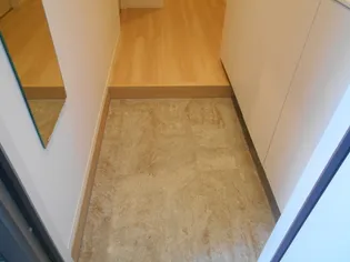 ロイジェントパークス レイクタウン II C【1階】の玄関