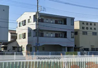 ニューエレガンスの画像