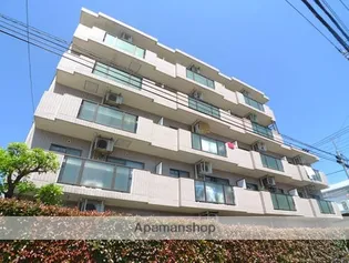メルロEの画像