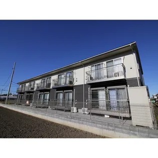 アムール OLIVIERの画像