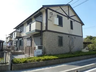 アネシスの画像